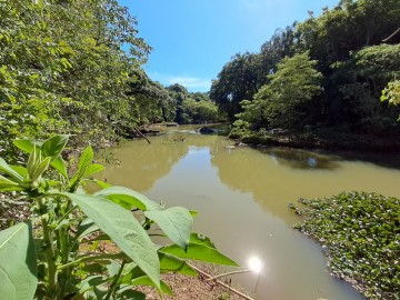 Sítio - Venda - Silvas - Morungaba - SP